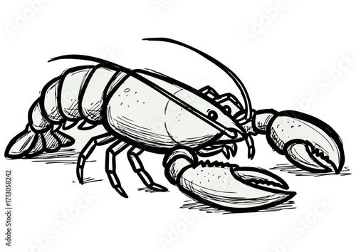 Lobster illustration, detailed, black and white, seafood, ocean concept
