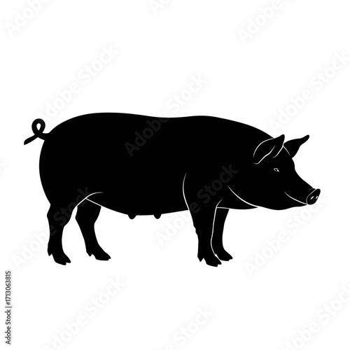 Silhouette of a farm pig animal standing profile view agricultural livestock mammal isolated on white background Vector Illustration