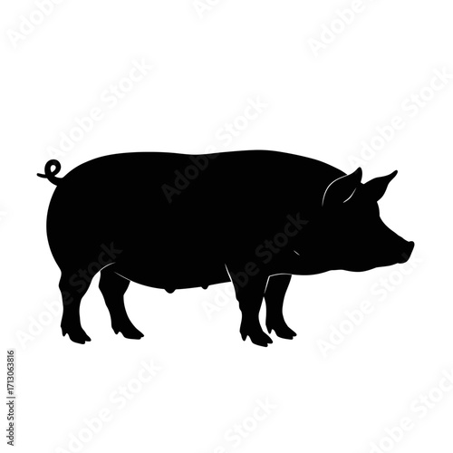 Silhouette of a domestic pig facing right side profile simple animal icon isolated on white background Vector Illustration