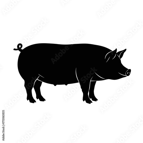 Silhouette of a pig farm animal detailed outline realistic farm animal livestock isolated on white background Vector Illustration