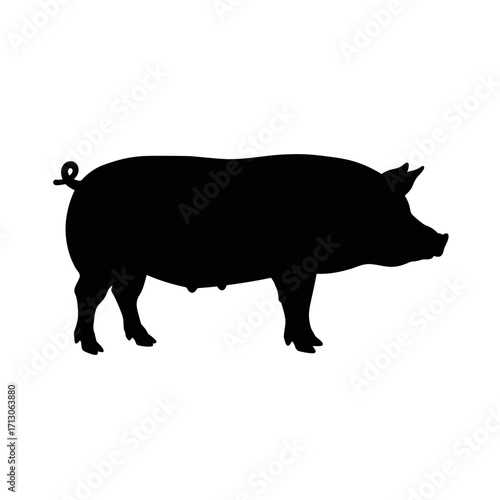 Silhouette of a farm pig standing outdoors ready for agricultural use isolated on white background Vector Illustration