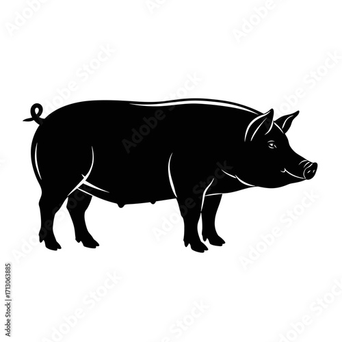 Black silhouette of a pig side profile on farm animal livestock isolated on white background Vector Illustration