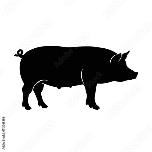 Silhouette of a domestic pig standing profile view farm animal livestock image isolated on white background Vector Illustration