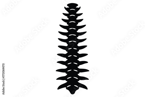spine silhouette vector icon