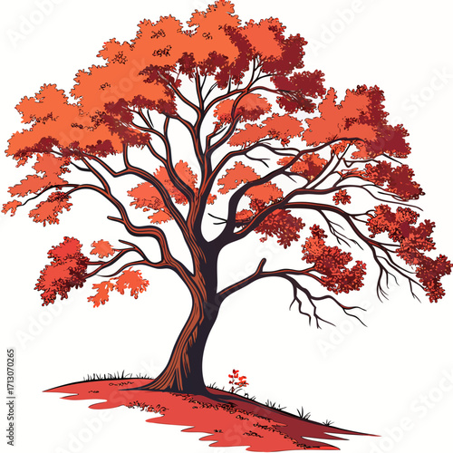 autumn tree vector