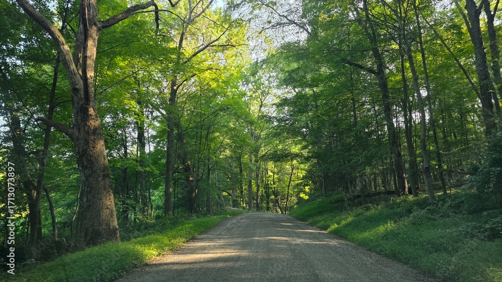 Fototapeta premium Gravel Road in Spring