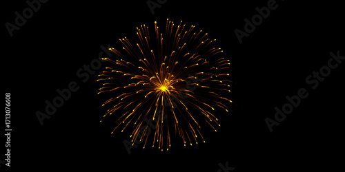 Cuadro en lienzo A burst of golden firework illuminating the night sky celebrating a special occa