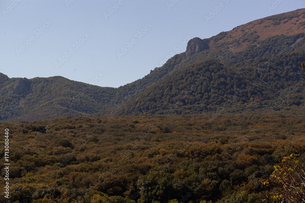 Naklejka premium mountain landscape with mountains