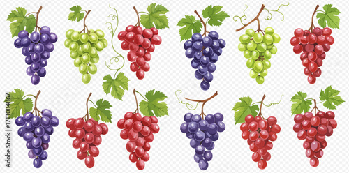 A vibrant collection of red, green, and purple grape bunches with leaves, arranged in rows on a transparent background.