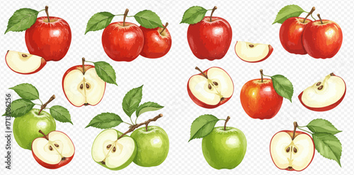 A collection of illustrated red and green apples, shown whole, halved, and sliced with fresh leaves.