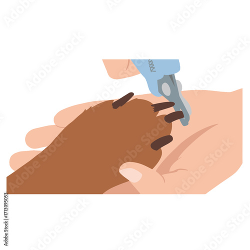 A professional groomer or owner trims a dog's claws with clippers. A clean vector illustration about pet grooming, hygiene and veterinary care for a salon or clinic website