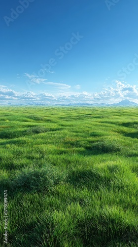 Expansive Green Field Under a Bright Blue Sky.