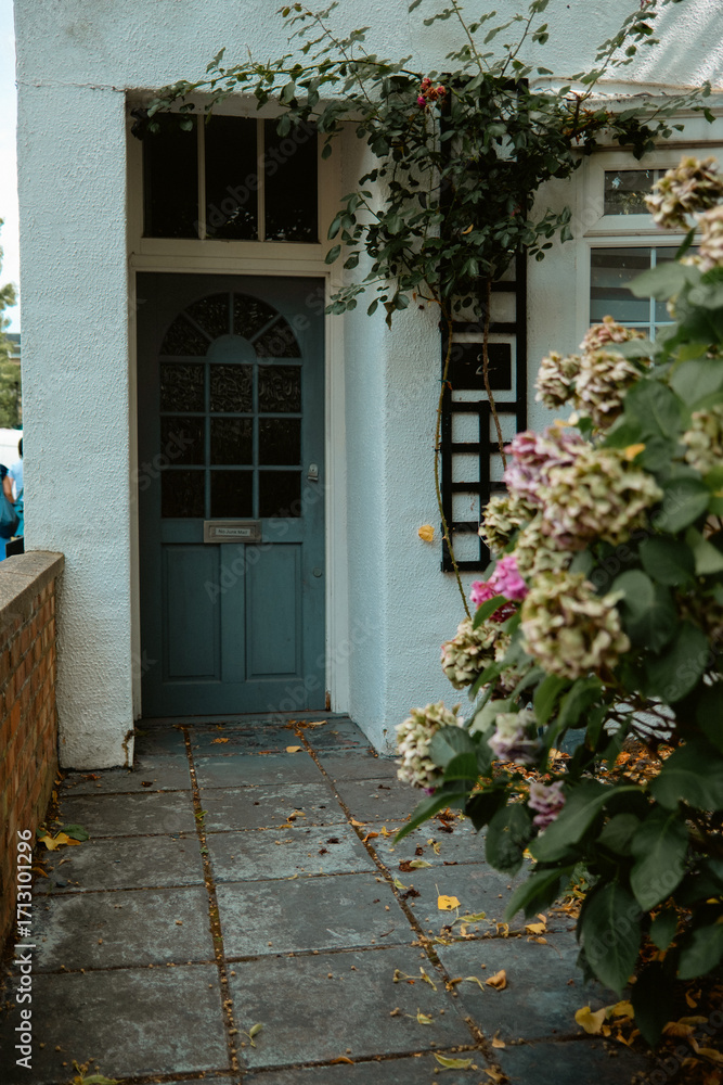 Fototapeta premium Blue Door with Climbing Rose and Hydrangeas in Chiswick