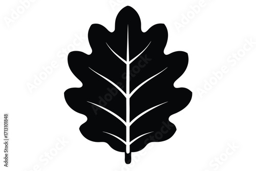 oak leaf icon vector silhouette icon