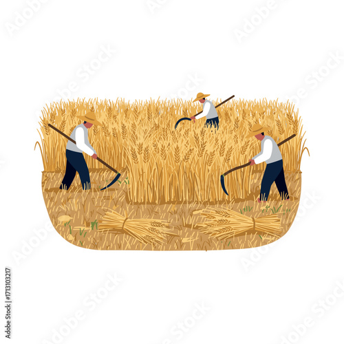 Harvesting wheat in a rural field agriculture scene outdoor environment scenic viewpoint farming concept. Vector illustration