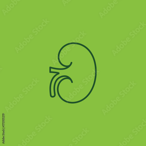 Simple outline graphic of a human kidney icon on green background vector
