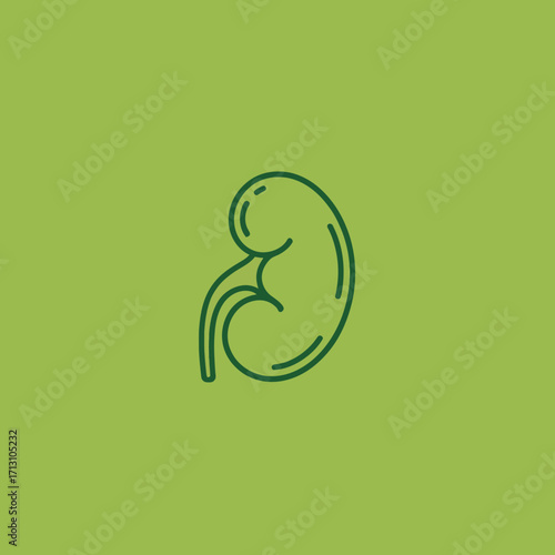 Minimalist outline of a human kidney with abstract flowing lines green background vector
