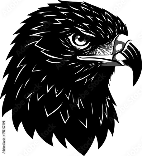 Vector Illustration of a Fierce Black Eagle Head on a White Background