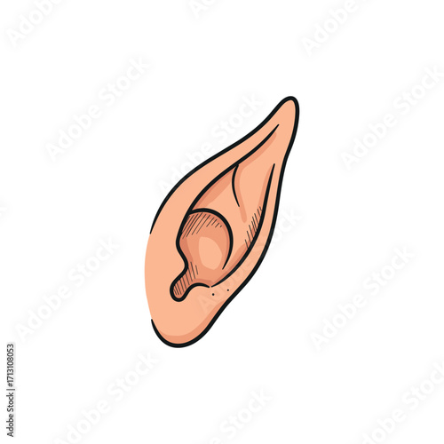 Exploring the anatomy of the human ear medical illustration educational art clinical environment health concept. Vector illustration