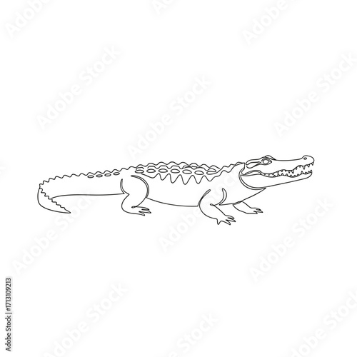 Line art of a crocodile on a white background  