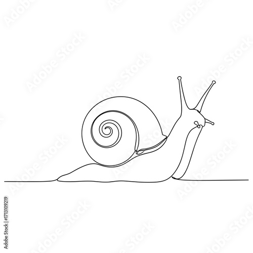 One-line drawing of a snail illustrating simplicity and nature  
