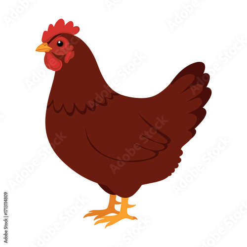 Farmyard chicken standing proudly barnyard setting digital illustration whimsical style eye-level perspective animal concept. Vector illustration