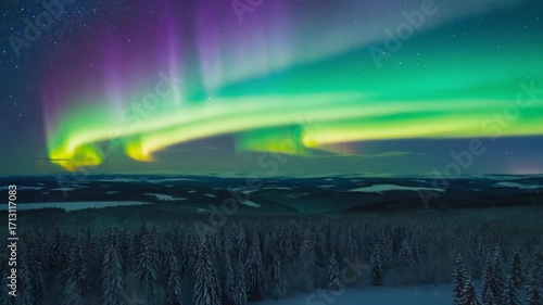Aerial drone shot of northern lights above snowy forest