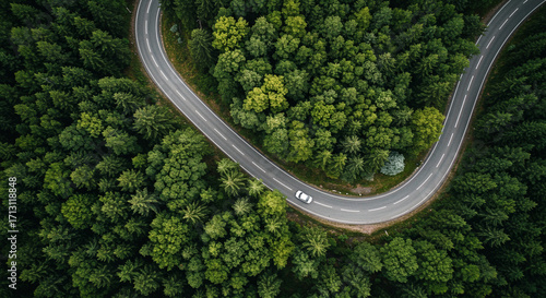 A stunning high-angle perspective showing a single vehicle navigating a tranquil, winding road in a lush forest