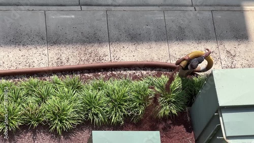 Man sprays mulch along a sidewalk viewed from above
