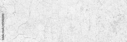 White or light  gray stone background with rough grainy texture 
