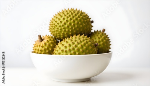 cactus in a pot isolated