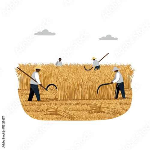 Harvesting wheat rural fields illustration agricultural landscape aerial view farming practices. Vector illustration