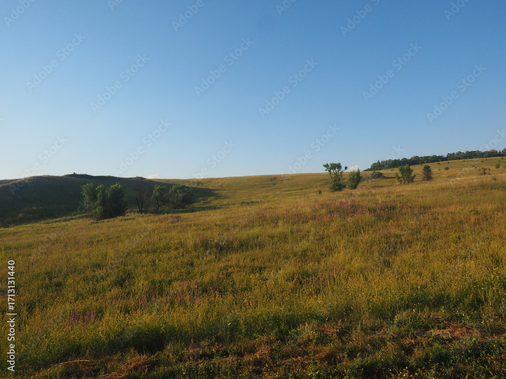 Obraz premium landscape with a tree
