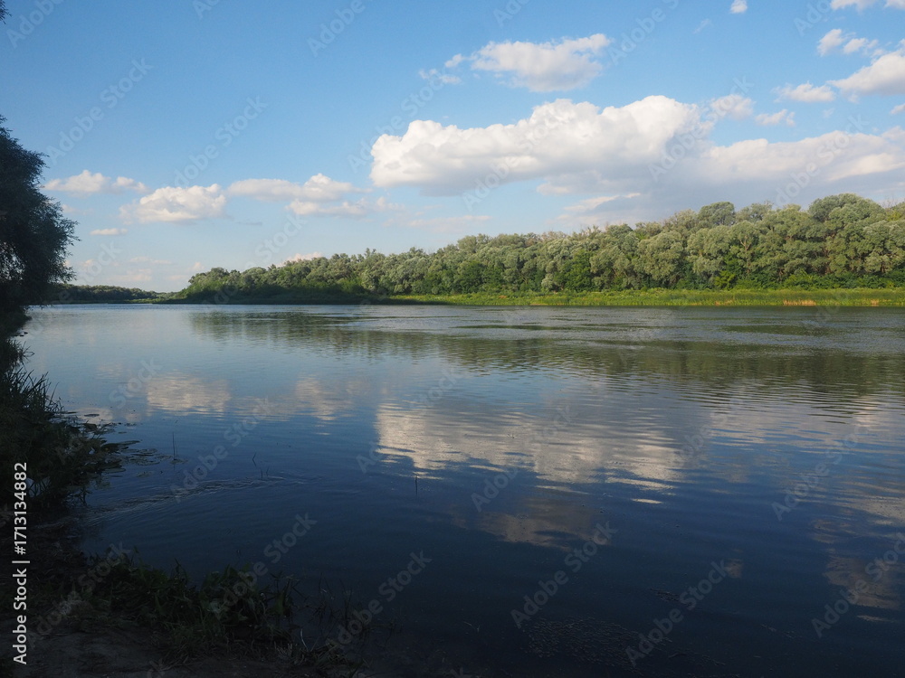 Obraz premium summer landscape with lake