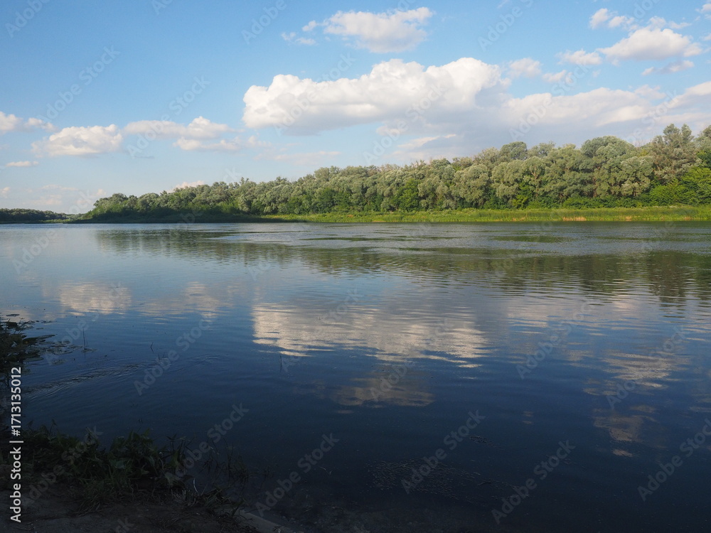 Obraz premium lake in the forest