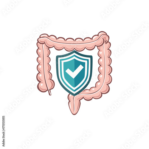 Healthy gut and digestive system concept with colon and protection shield icon