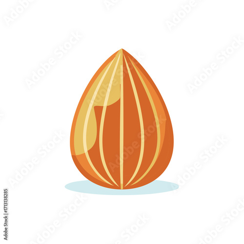 Vector illustration of a single almond nut. Healthy organic food and snack icon isolated.