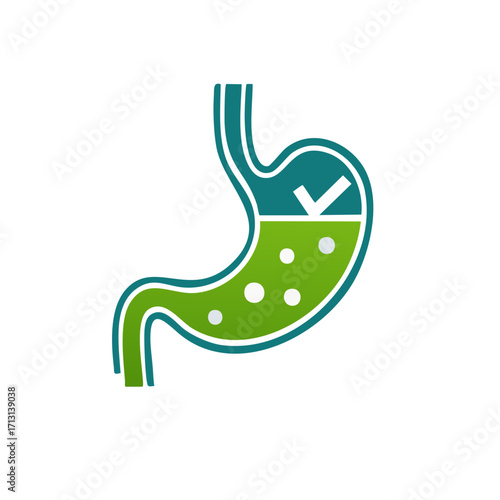 Healthy human stomach icon with checkmark showing good digestion and wellness concept
