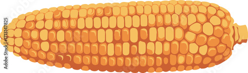 Close-up illustration of a single ear of corn, showcasing its golden kernels and textured husk. The mood is one of natural abundance and wholesome goodness. 