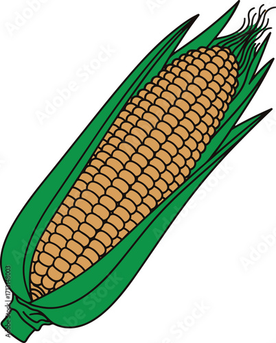 A detailed illustration of an ear of corn, showcasing its kernels and husk with rich color 