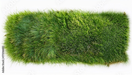 Top Down Grass Texture In High Detail Isolated On White Background