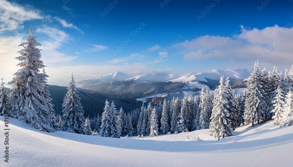 Fototapeta premium Winter Landscape Of Snowy Carpathian Mountains And Fir Tree Forest