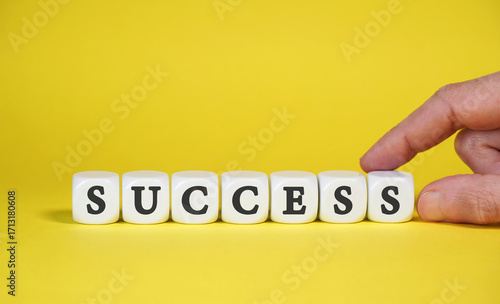 Success Word On Dices Business Concept