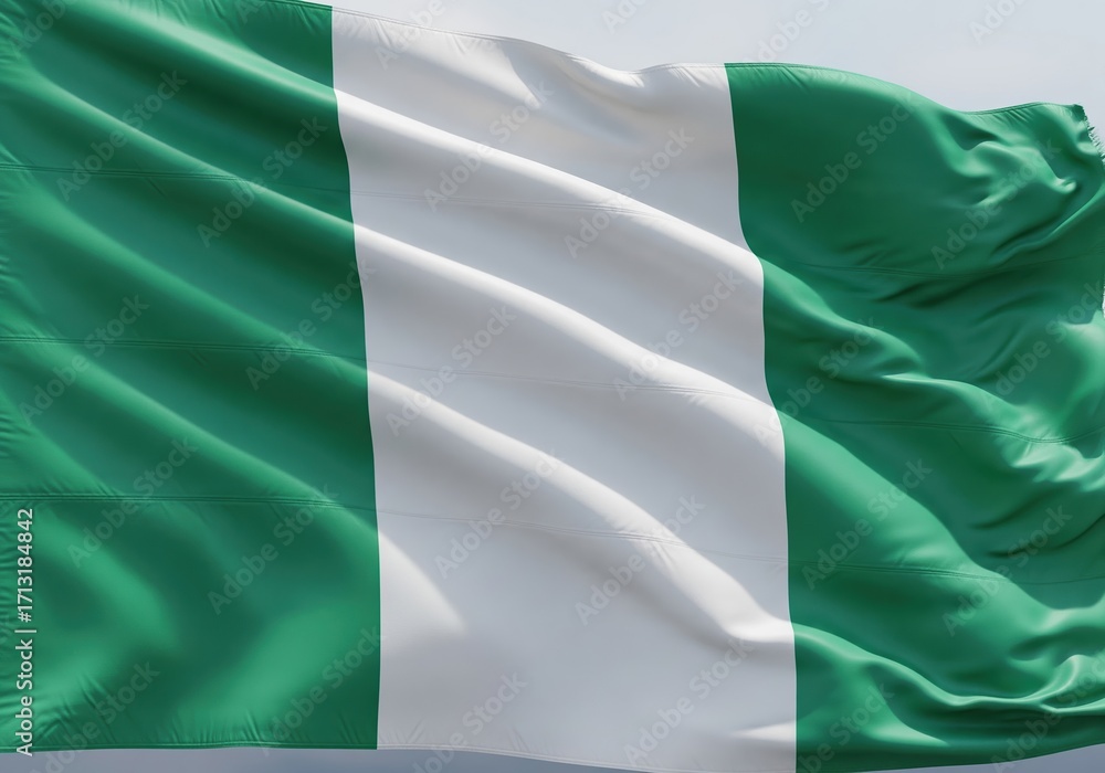 Obraz premium Nigeria Flag A Symbol of Unity and National Pride