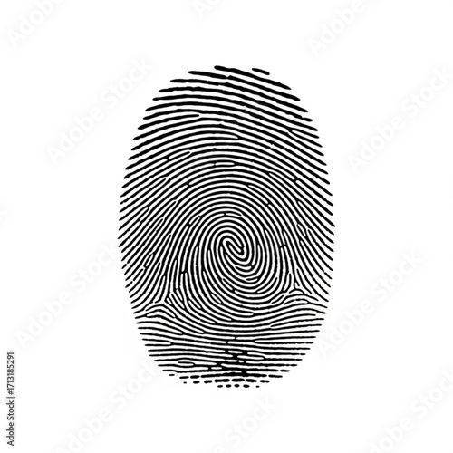 A detailed illustration of a fingerprint with black lines and a spiral pattern on a white background