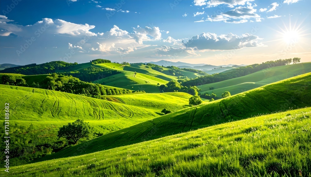Obraz premium Rolling hills bathed in sunlight glow
