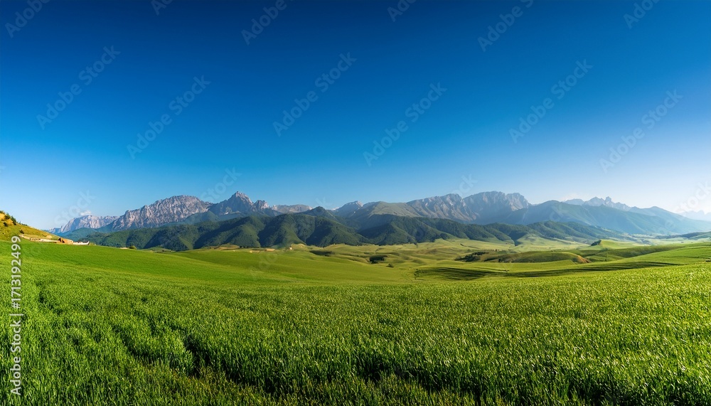 Fototapeta premium Green Fields Stretch Towards Distant Majestic Mountains Under A Clear Blue Sky