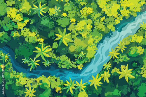 top view aerial shot of jungle woodland isolated