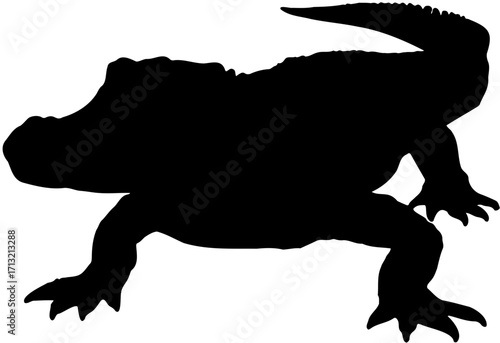 silhouette of a crocodile vector 