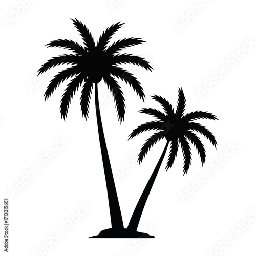 Two black palm trees